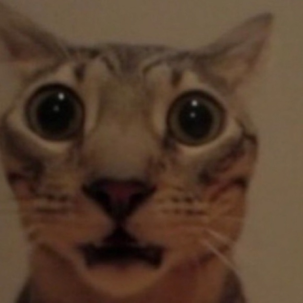 Meet your Posher, Lucas